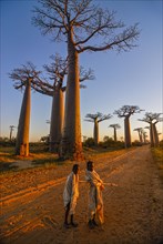 Young kids at the Avenue de Baobabs at sunrise