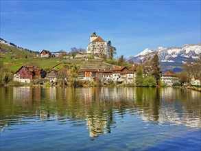 Werdenberg Castle with Old Town on Lake Werdenberg