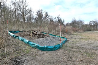 Artificial replacement biotope with foil fence for the relocation of sand lizards