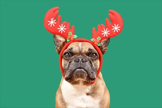 Fawn French Bulldog dog wearing red Christmas reindeer antler headband in front of green background