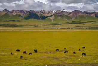 The open wide landscape of Tibet along the Tibetan railway in Tibet