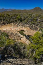 A view over the transitional forest of Andohahela National Park