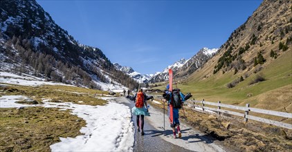 Ski tourers carrying skis on their backpacks with little snow in spring