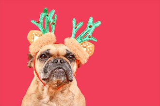Small French Bulldog dog with Christmas reindeer antler costume headband on pink background with copy space