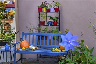 Backyard with flower decoration