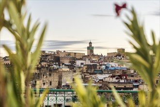 Old historic town of Fez