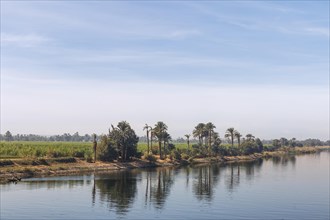 Landscape on the Nile