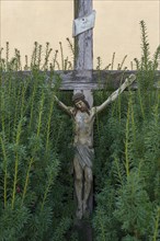 Christ cross in a hedge