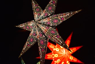 Christmas with illuminated poinsettia