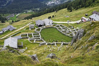 Enclosure made of dry stone walls for traditional alpine pasture management that was originally used for cattle grazing
