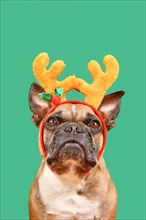 Adorable French Bulldog dog wearing Christmas reindeer antler headband in front of green background