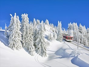 Cogwheel railway travelling through snow-covered forest