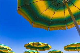 Green-yellow parasols against a blue sky on the beach of Straccoligno