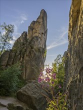 Prachovske Rocks