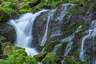 Fresh and beautiful waterfalls in a mountain stream in spring. La Serva