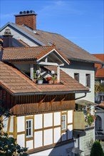 Half-timbered house with dormer window