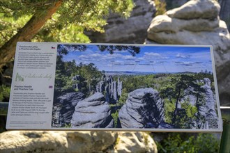 Information board at the Prachov Rocks