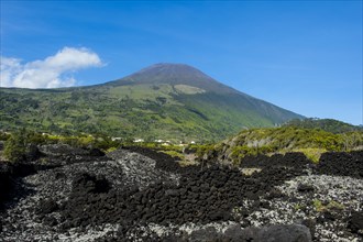 Ponta do Pico highest mountain of Portugal