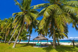 Palm trees on a white sand beach on the Island Ile Sainte-Marie although Nosy Boraha