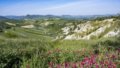 View of the hilly landscape with erosion valleys and vineyards