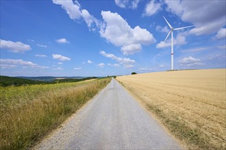 Dirt road in landscape with wind turbine in summer