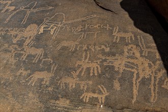 Unesco site Rock Art in the Ha'il Region