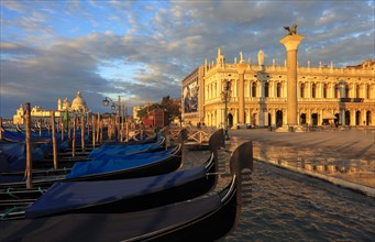 View of the Doge's Palace and the Piazzetta from the water in the morning