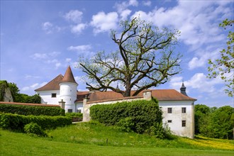 Salaberg Castle