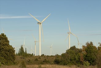 Wind turbines in the evening light against a blue sky on the Pakri peninsula near Paldiski
