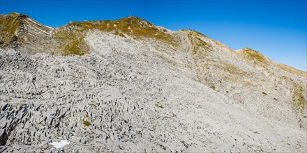 Gottesacker plateau