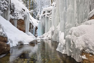 Tauglbach with icicles