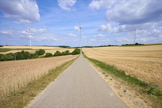 Road in landscape with wind turbines in summer