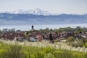 View of the village of Kressbronn