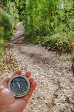 Compass on a forest trail