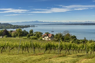 View over Lake Constance