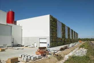 Greened factory facade