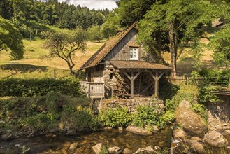 Historic water mill in the Black Forest