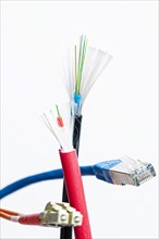 A cut-open network cable with RJ45 connector and a cut-open optical fibre patch cable with shielding on a white background
