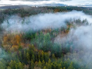 Aerial view forest with fog