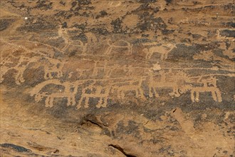 Unesco site Rock Art in the Ha'il Region