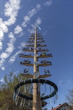 Maypole in Seebruck am Chiemsee