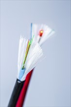 A cut-open network cable and a cut-open optical fibre patch cable with shielding on a white background