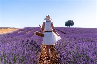 A woman in a white dress in a summer lavender field with a hat