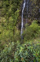 Cascata do Risco waterfall