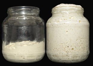 Baking dough with yeast