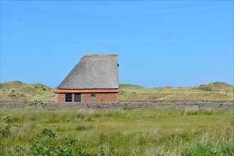 Sheep shelter bungalow building in national park De Muy in the Netherlands on island Texel
