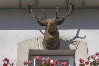 Stag figure on a residential house