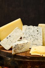 Assortment of different types of cheese on wooden block
