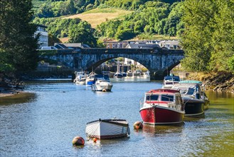 Boats and Yachts on River Dart in Totnes