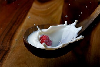 Fresh raspberry splashing milk on a wooden spoon